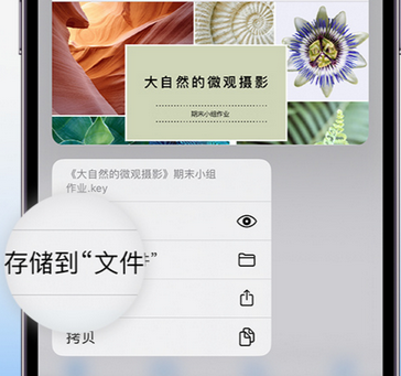 融安apple维修中心分享iPhone文件应用中存储和找到下载文件