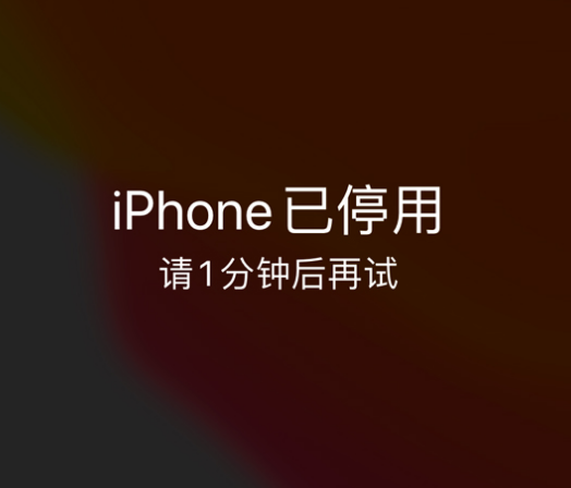 融安苹果手机维修分享:iPhone 显示“不可用”或“已停用”怎么办？还能保留数据吗？ 