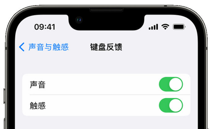 融安苹果手机维修分享iPhone 14触感键盘使用方法 