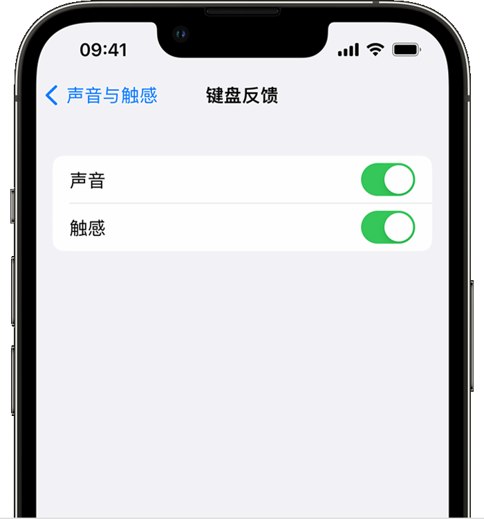 融安苹果14维修店分享如何在 iPhone 14 机型中使用触感键盘 