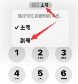 融安苹果14维修店分享iPhone 14 Pro Max使用副卡打电话的方法 