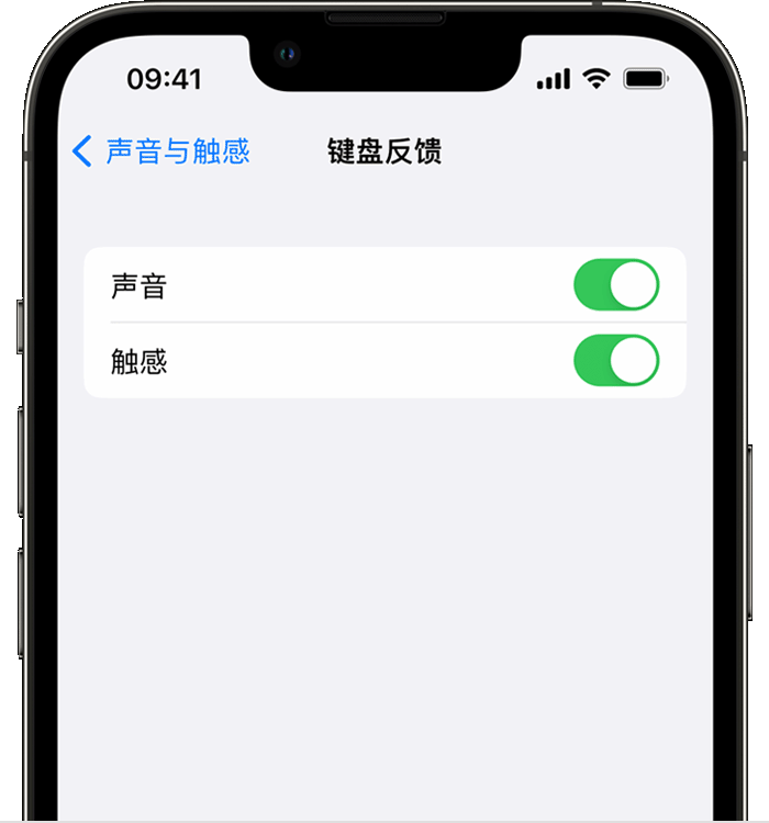 融安苹果14维修分享iPhone 14 系列机型如何开启键盘声音或触感反馈 