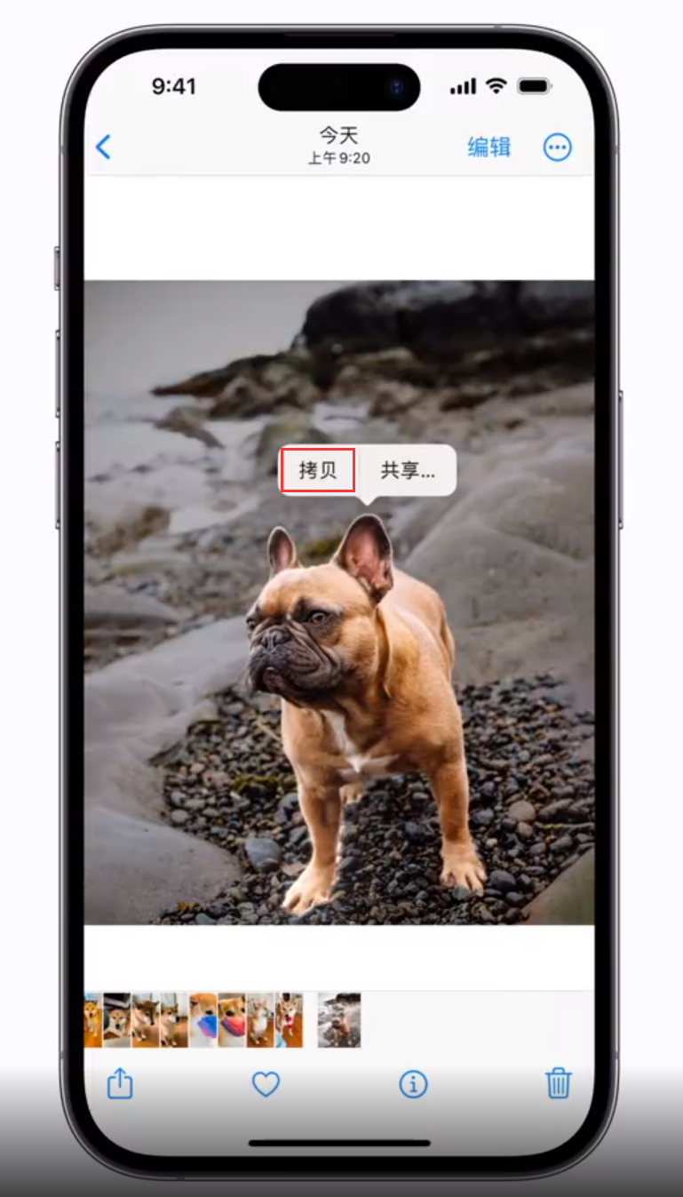 融安苹果手机维修分享 iOS 16 自带一键抠图功能 