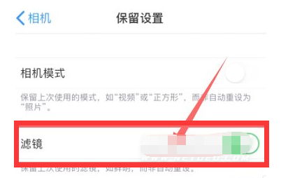 融安苹果13维修分享iPhone13拍照有绿点是怎么回事 