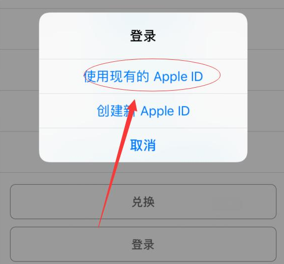 融安苹果手机维修分享两台iPhone设备可以同时登录一个Apple ID吗 