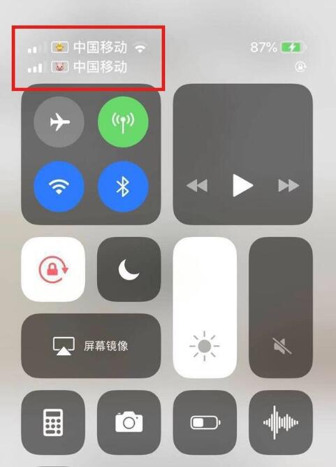 融安苹果手机维修分享为 iPhone 12 双卡设置标签 
